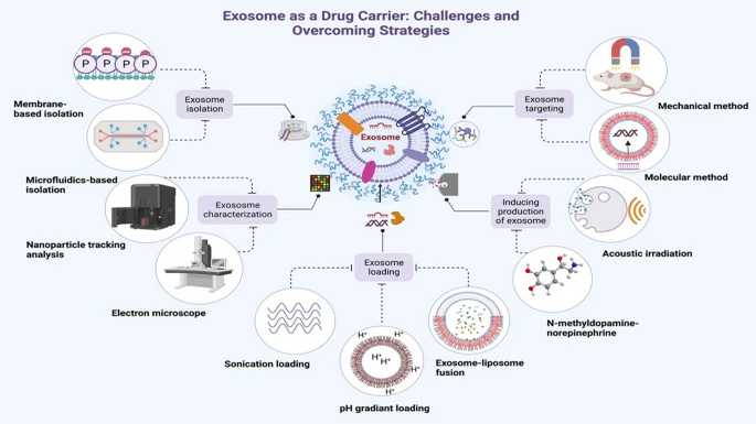 Challenges and Standardization