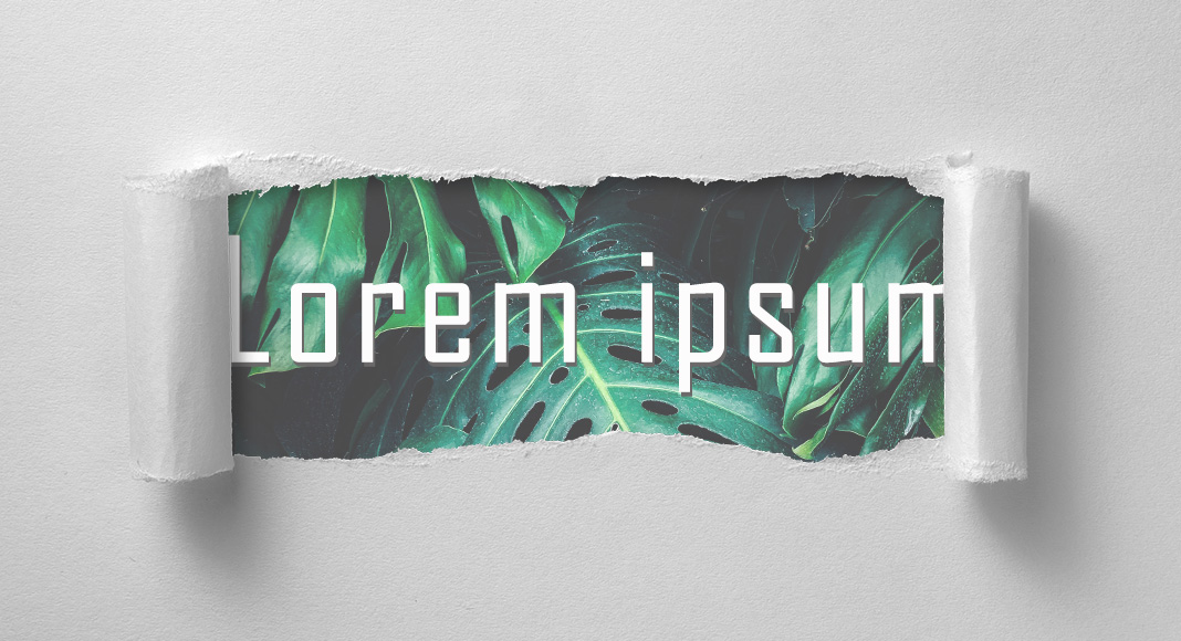 lorem_picture