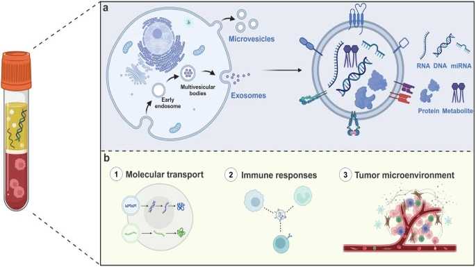 <p>Liquid biopsy markers – exosome</p>